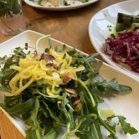   at Velo Landau in Landau