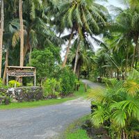 Driveway at Cocolin's by the Sea in Cape Fatuosophia