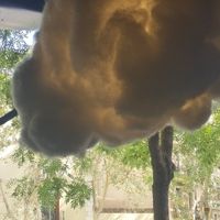  at Café Cometa in Barcelona