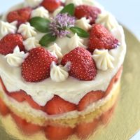 Fraisier vegan réalisé au cours de Marie  at Marie Rouvière - Vegan Baking Classes in Paris