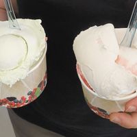 Links grüner Apfel und Zitrone rechts Melone und Erdbeere at Arktis Eiscafe in Hamburg