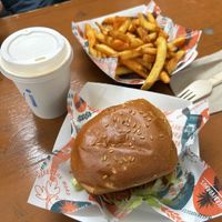   at Herbivorous Spark   in York