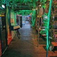  at Herbivorous Spark   in York