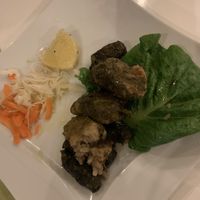 stuffed vine leaves  at Pelagos Restaurant in Kos