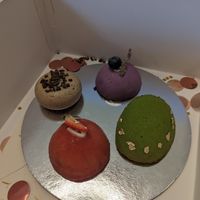 Mini cakes collection at Lucuma - Delivery Only in Dubai