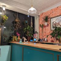 Counter at Paradise Taco in Brooklyn