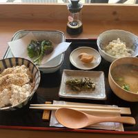 tofu lunch with wild spring veggies (my soy sauce) at Shirakami Tofu  in Aomori