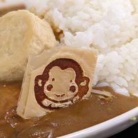 Yuba Monkey at Azuma in Nikko