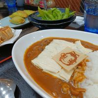 Right: Yuba curry. Above edamame, above left vegan gyoza. On the left side were some of balls, not vegan, ordered by the +1. at Azuma in Nikko
