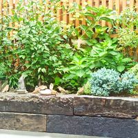  at Vegan Insa - 비건인사 in Seoul