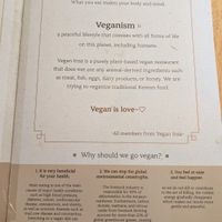  at Vegan Insa - 비건인사 in Seoul