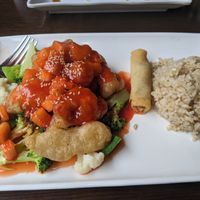 Sweet and sour soy protein, spring roll, and brown rice (lunch special) at Veggie Fun in Providence