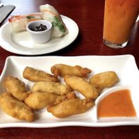 fried soy and summer rolls  at Veggie Fun in Providence
