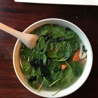 udon noodle soup at Veggie Fun in Providence