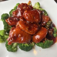 General tso's soy protein at Veggie Fun in Providence