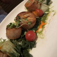 Royal Trumpet Mushroom “Scallops"  at Agricola Eatery in Princeton