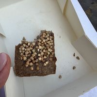   at Carlotta With in Marseille