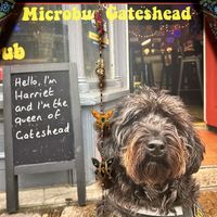   at Microbus Gateshead in Gateshead