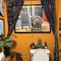   at Microbus Gateshead in Gateshead