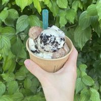   at Eisbrunnen - Vegan Ice Cream in Munich