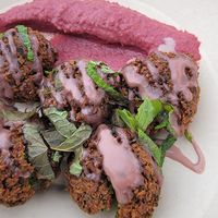 Falafel side at fez in Cedar Park