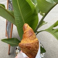   at White Hole in Capoliveri