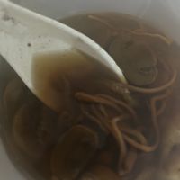 cordyceps soup!   at Kung Tak Lam - 功德林 - Causeway Bay in Hong Kong Island