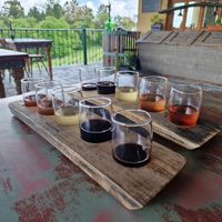 Organic wines at Bonjardim Boutique Hotel in Nesperal