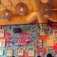 Fun  at Guaca Mole in Louisville