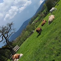  at Erdlingshof in Kollnburg