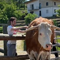  at Erdlingshof in Kollnburg