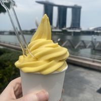   at The BerrySpot - Esplanade in Central Singapore