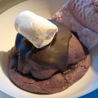  at RebelRox Kitchen in Bristol