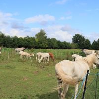  at Hof Birkenkamp  in Bresegard Bei Picher