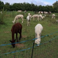  at Hof Birkenkamp  in Bresegard Bei Picher