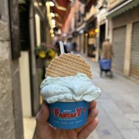 mint flavour  at Gelato Fantasy Castello in Venice