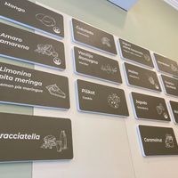 flavors at Dimatteo Gelateria in Ljubljana