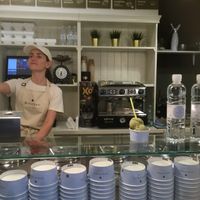 Marked vegan flavours  at Dimatteo Gelateria in Ljubljana