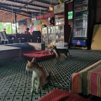 Inside at Old Chill Out Ganesh Restaurant in Hampi