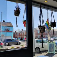 Interior at Harry's at 387 in Belfast