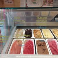 Vegan options at Luther's Scoops in Brunswick