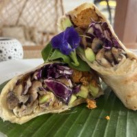 Customised burrito for breakfast   at Wild Vegan in Ubud