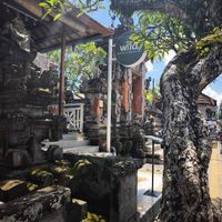  at Wild in Ubud