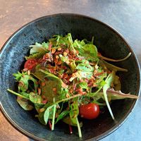 Salad instead of fries (to accompany the burger) at Rocket Room Restaurant & Bistro in Velden Am Woerthersee