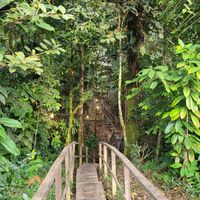 the way to the dorms😊 at Pacifico Hostel in Juanchaco