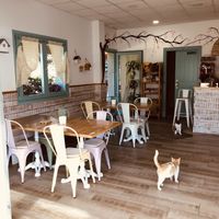   at A Braña Restaurante & Bar in Lires