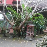 Garden at Siboghana Waroeng in Ubud