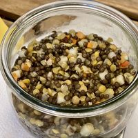 Linsensalat  at cook rein in Oranienburg