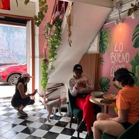  at Satiba Therapy Coffee Shop in Arequipa