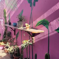  at Satiba Therapy Coffee Shop in Arequipa